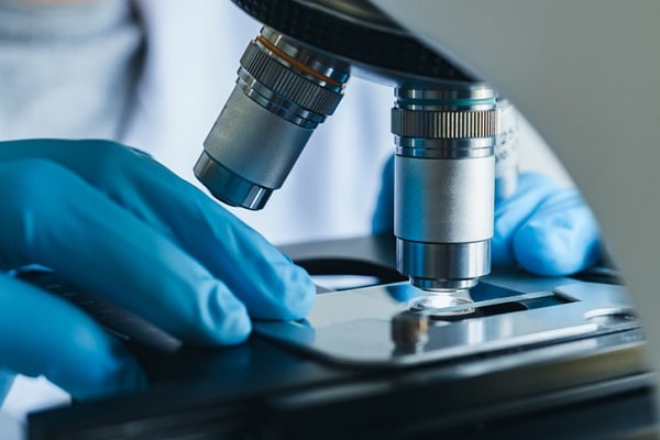 You will have up-to-date knowledge about lab equipment and procedures